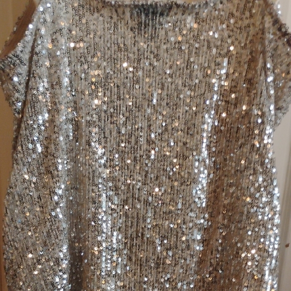 Daytrip Silver Sequin Tank Top - Picture 15 of 15